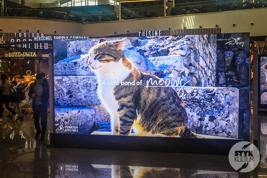 Nowe Lotnisko w Stambule - Istanbul Grand Airport IGA)