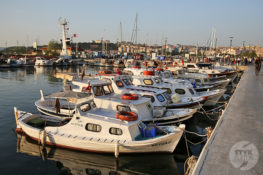 Turcja canakkale11 263x175 Turcja
