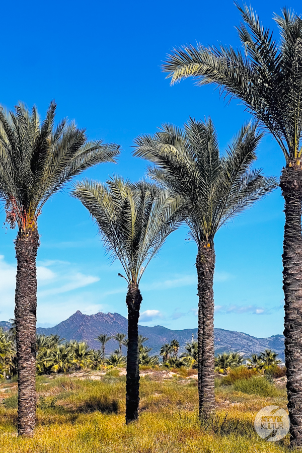 Styk Kultur - Agnieszka Maury | Turcja, Stambuł, książki - Castellón de la Plana – przewodnik po ukrytej perle wschodniej Hiszpanii