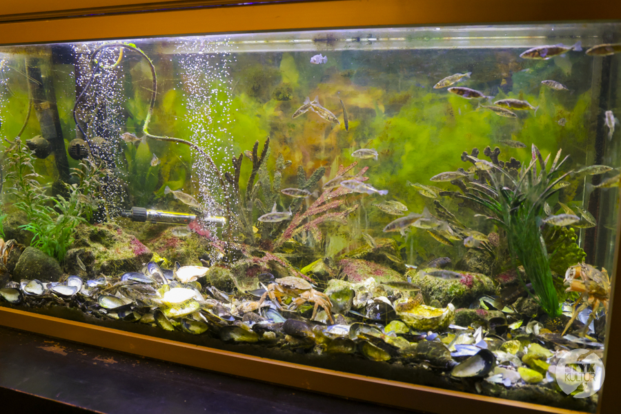 Fiord Roskilde – największe atrakcje i miejsca, w których Dania mówi szeptem historii Europa Styk Kultur - Agnieszka Maury | Turcja, Stambuł, książki - Fiord Roskilde – największe atrakcje i miejsca, w których Dania mówi szeptem historii